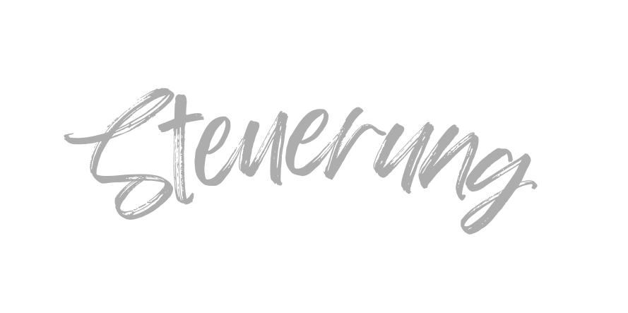 Steuerung